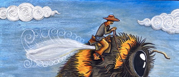 Bumblebee Cowboy by David Sockrider